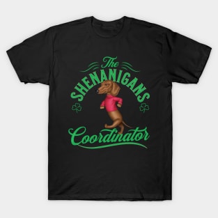 Cute funny Doxie Dog on Dachshund Shenanigans Coordinator tee T-Shirt